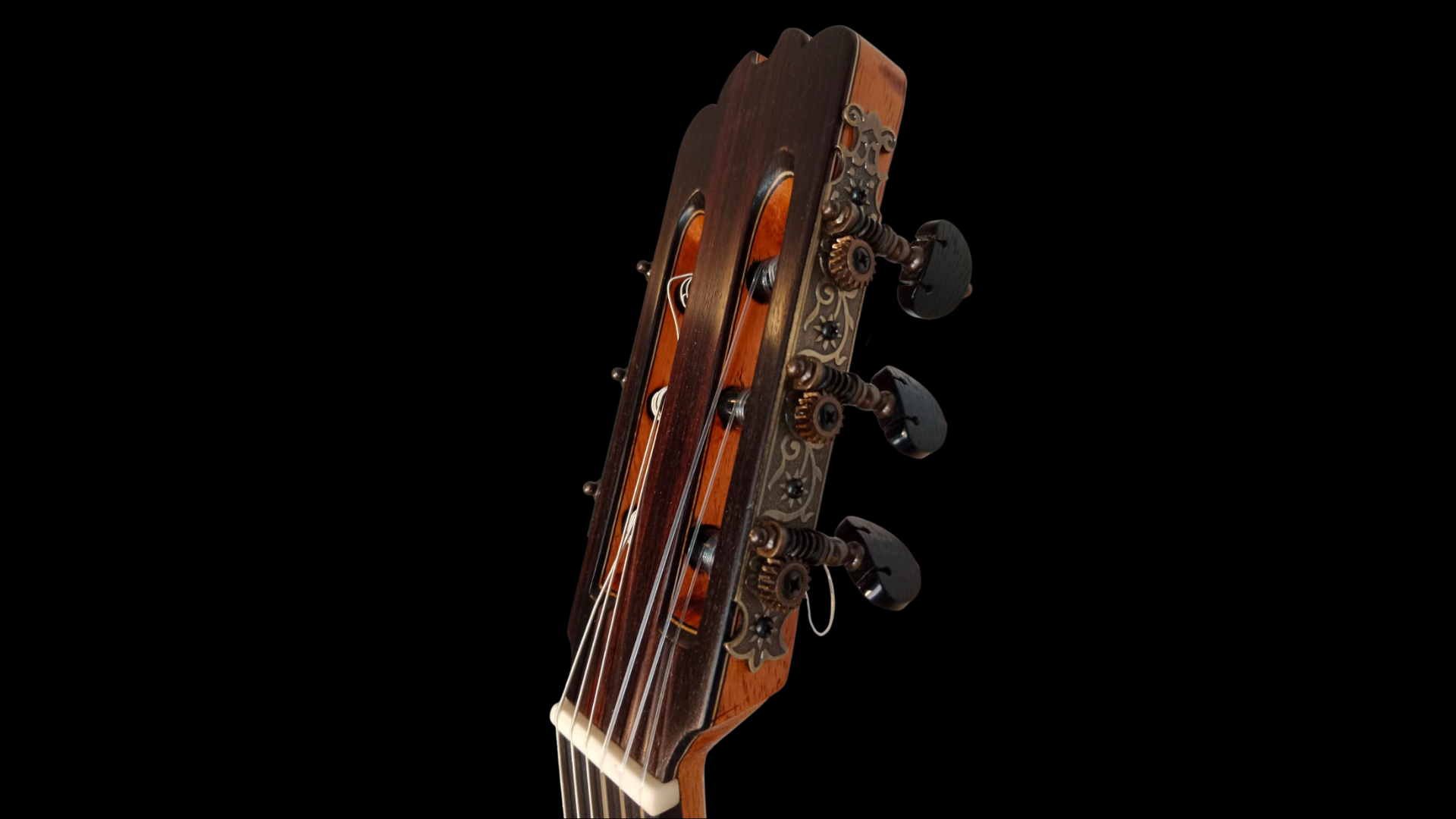 clavijero clasica de david