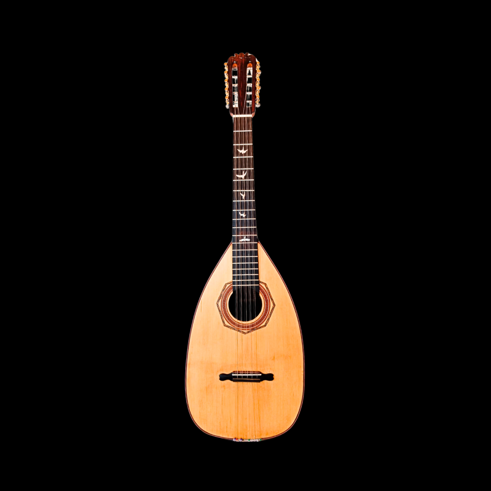 Guitarra Conchera