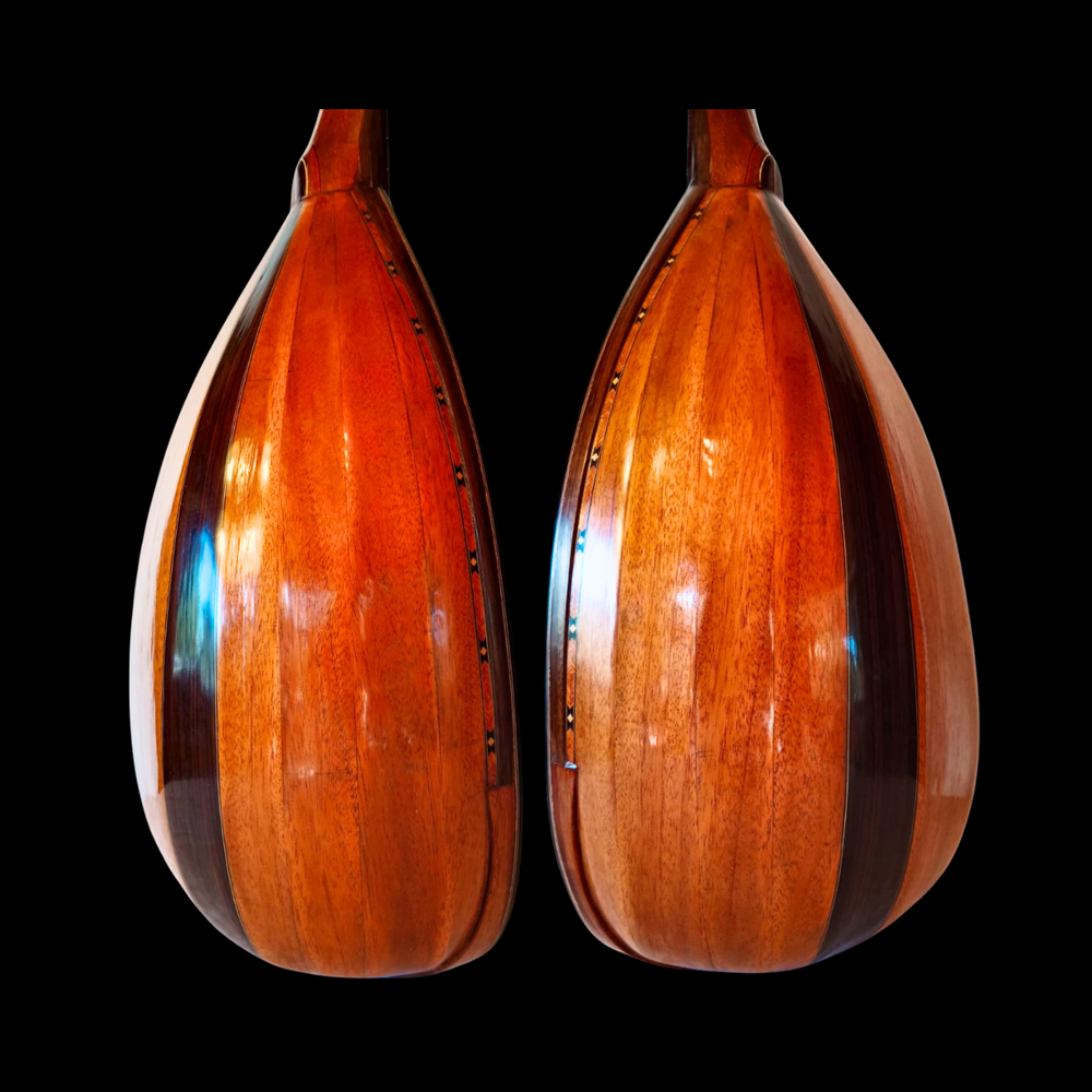 Guitarra Conchera - Vista 2