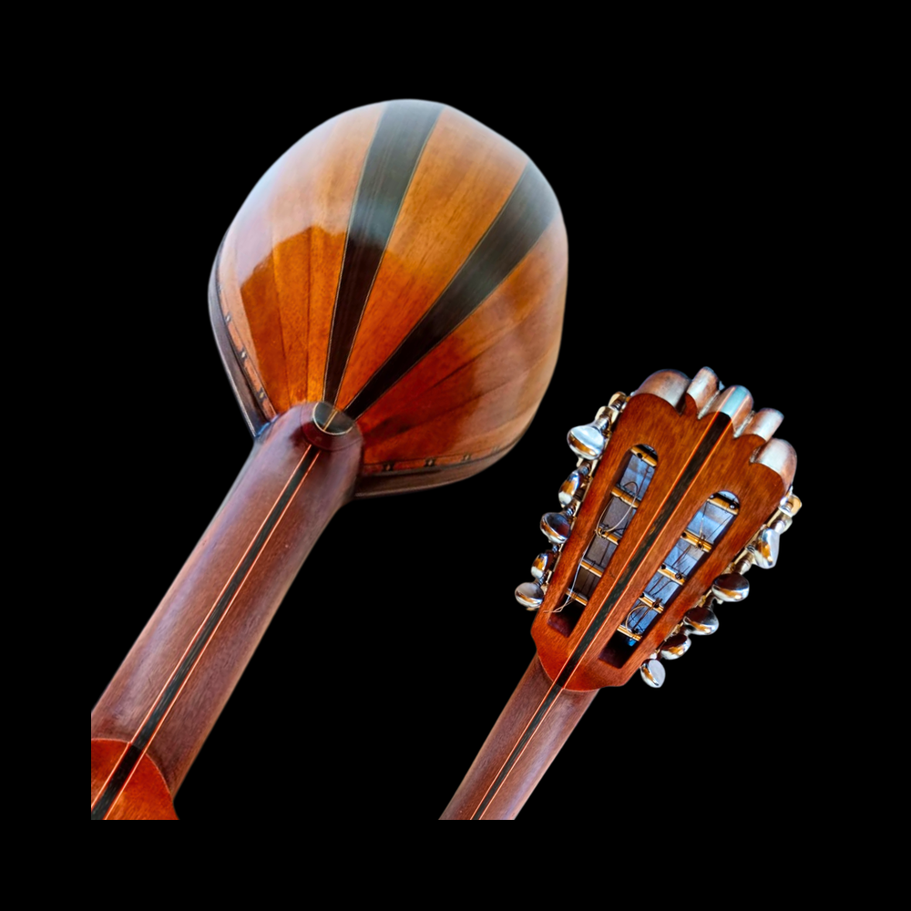 Guitarra Conchera - Vista 3