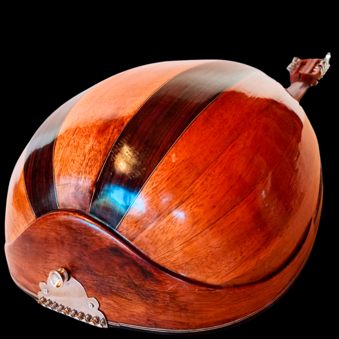 Guitarra Conchera - Vista 5